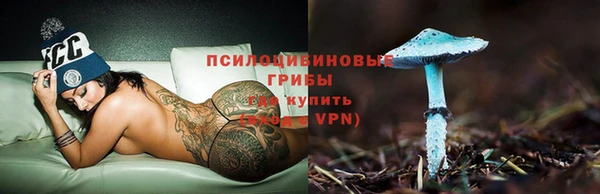 MESCALINE Коряжма