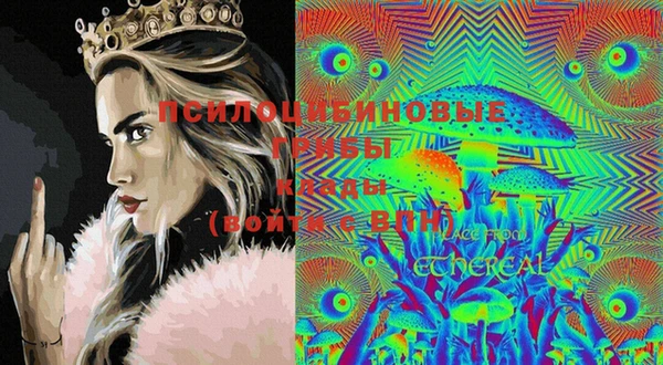 MESCALINE Коряжма