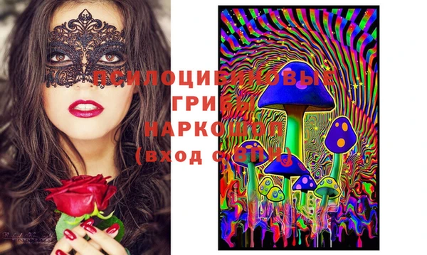 MESCALINE Коряжма