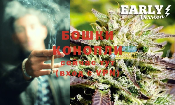 MESCALINE Коряжма
