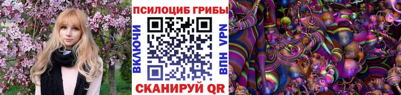 где купить   KRAKEN ССЫЛКА  Галлюциногенные грибы MAGIC MUSHROOMS  Палласовка 